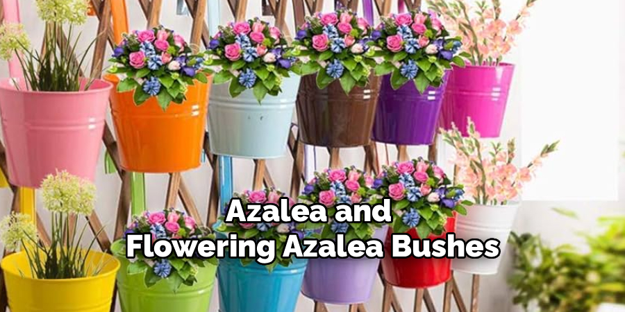 Azalea and
Flowering Azalea Bushes
